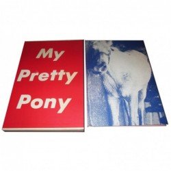 Stephen King - My Pretty Pony - Gift edition