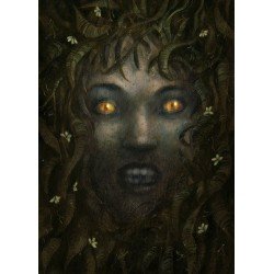 Sleeping Beauties - Gift Edition