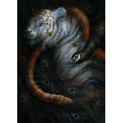 Sleeping Beauties - Gift Edition