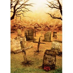 Pet Sematary - Edición limitada gift