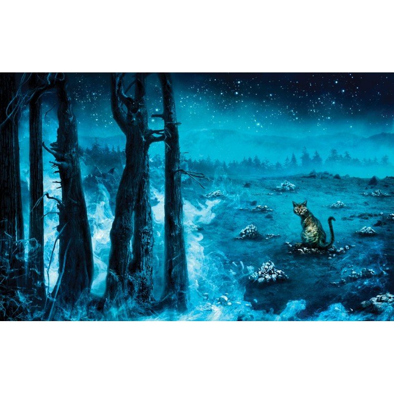 Pet Sematary - Edición limitada gift